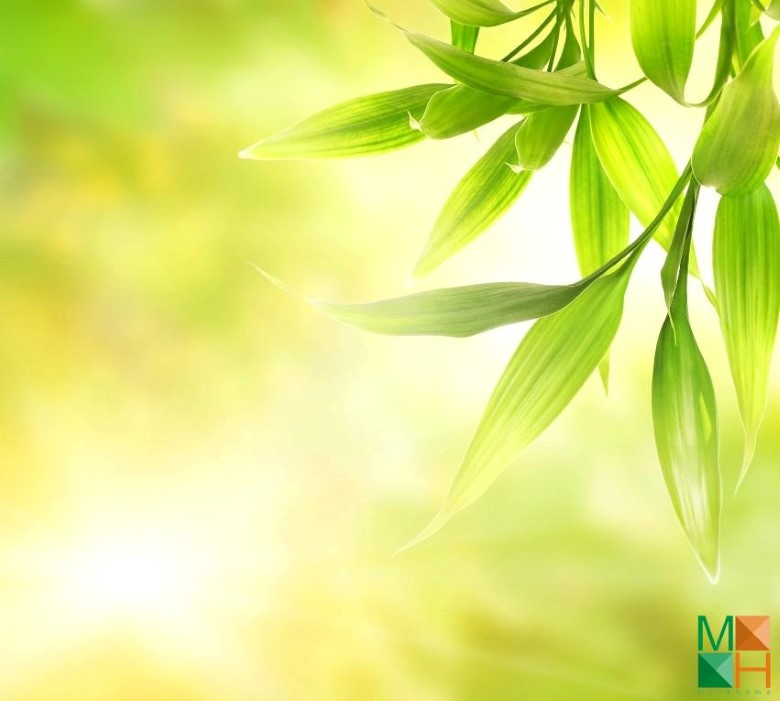 Tranh dán tường cho phòng khách đẹp tại Hà Nội NA - 074